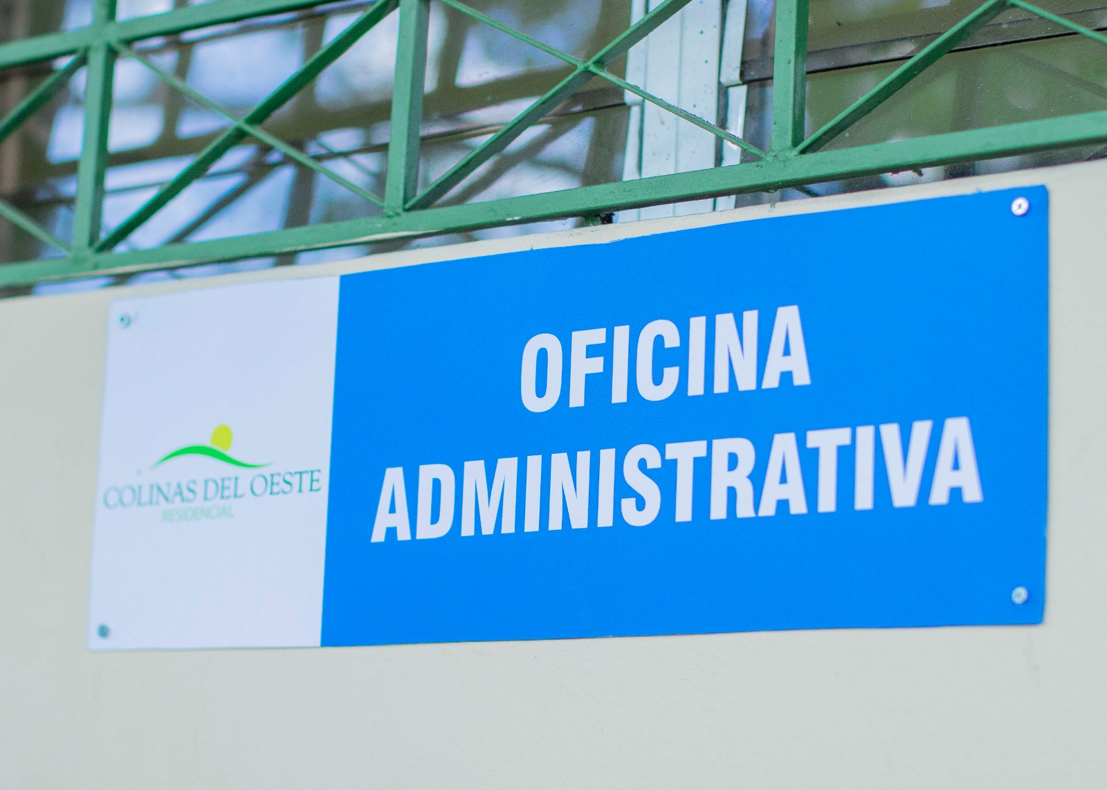 WhatsApp Image 2026-02-01 at 17.43.29