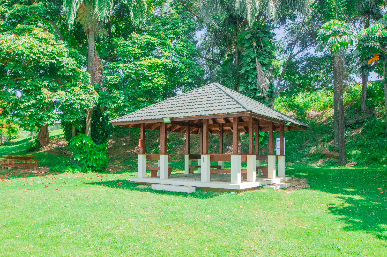 WhatsApp Image 2026-02-01 at 17.43.34 (3)