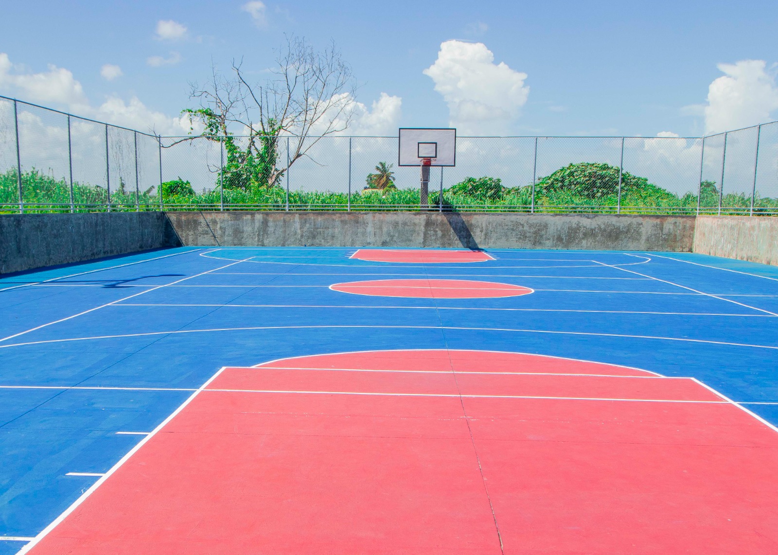 WhatsApp Image 2026-02-01 at 17.43.36 (1)