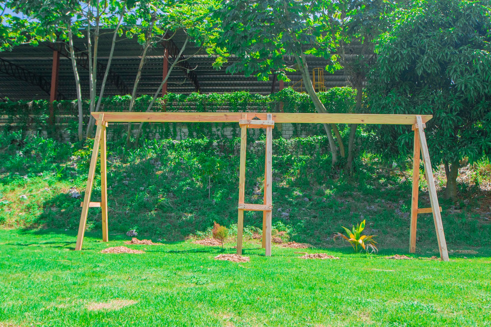 WhatsApp Image 2026-02-01 at 17.43.36 (2)